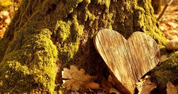 Bestattungskosten seit 2019 um mehr als zwanzig Prozent (Foto: AdobeStock - ImageSine - 333505249)